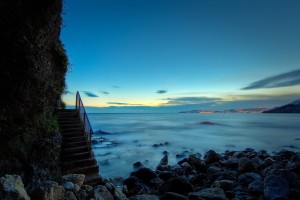 世界游泳锦标赛后续场馆运营方案获批，世界游泳锦标赛项目